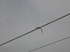 DSCN0154.JPG