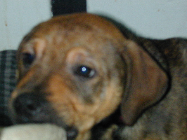DSCN0014.JPG