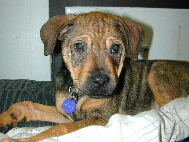 DSCN0015.JPG