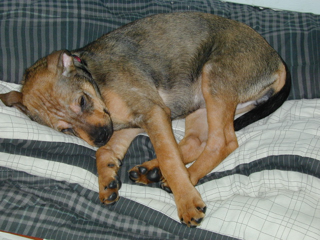 DSCN0019.JPG