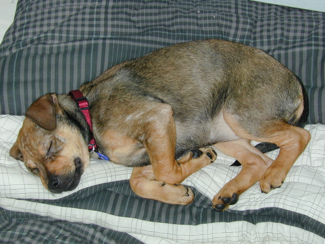 DSCN0021.JPG
