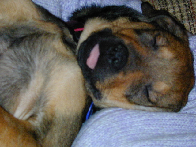 DSCN0028.JPG