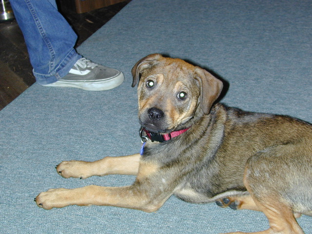 DSCN0034.JPG