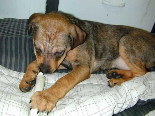 DSCN0016.JPG