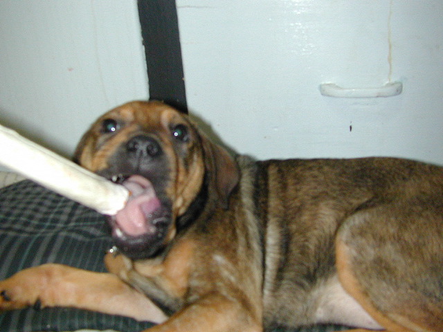 DSCN0018.JPG