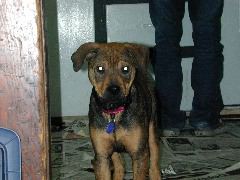 DSCN0038.JPG