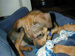 DSCN0040.JPG