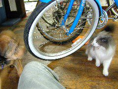 DSCN0042.JPG
