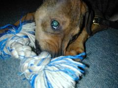 DSCN0068.JPG