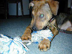 DSCN0069.JPG