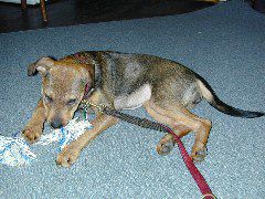 DSCN0070.JPG