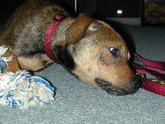 DSCN0071.JPG